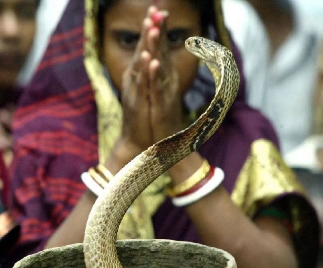 Nag Panchami 2025 Unique Mahoba Celebrations Nag Devta Worship 29 July 2025